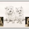 Original Drawing Two Dogs: by Stephen Kline