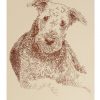 Airedale Terrier: Dog Portrait by Stephen Kline