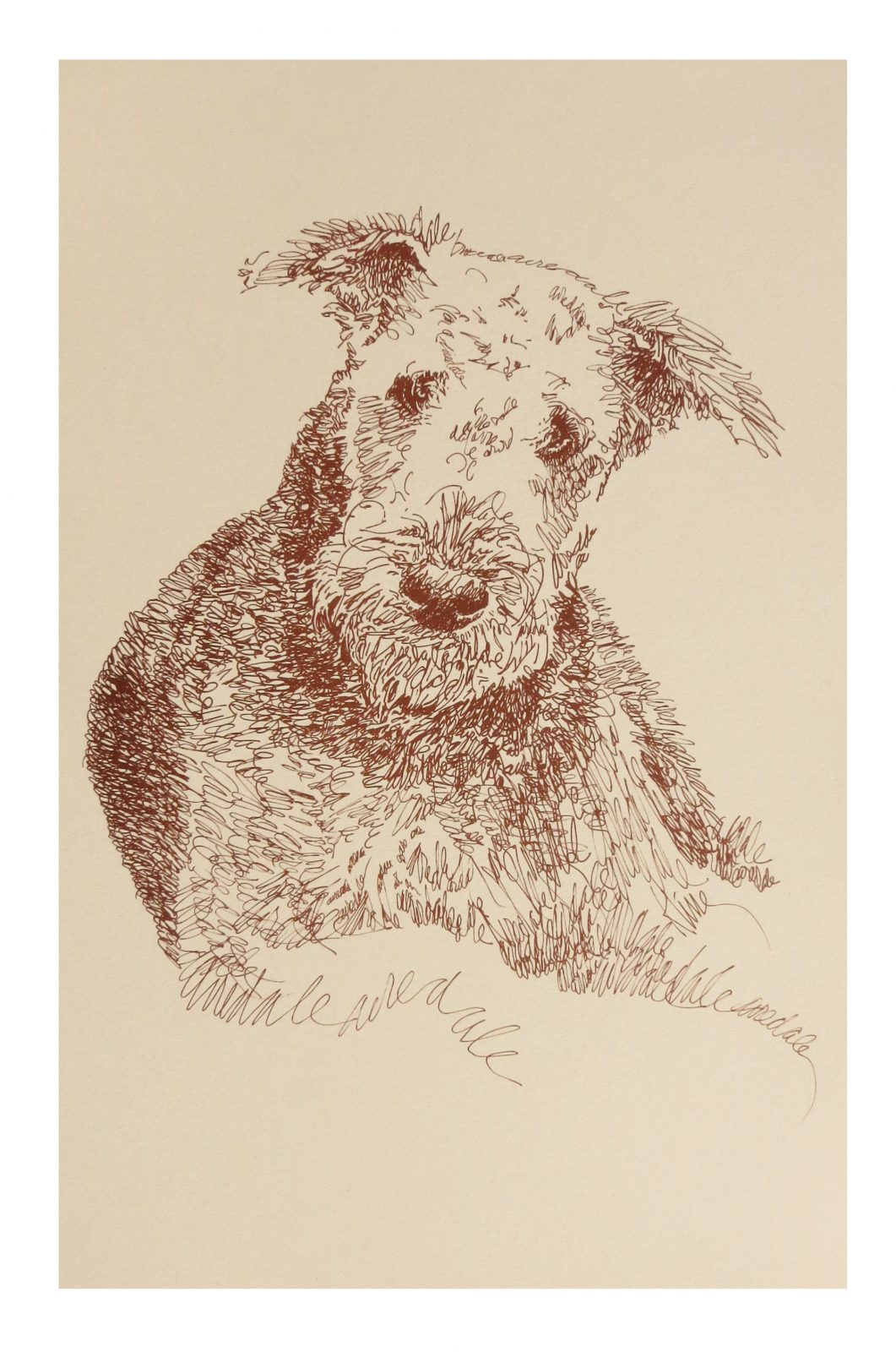 Airedale Terrier dog art portrait drawing PRINT 78 Kline adds dog's name free. 
