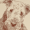 Airedale Terrier: Dog Portrait by Stephen Kline - Image 2