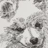 American Eskimo Dog: Dog Portrait by Stephen Kline - Image 2