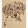Beagle: Dog Portrait by Stephen Kline
