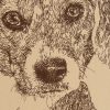Beagle: Dog Portrait by Stephen Kline - Image 2