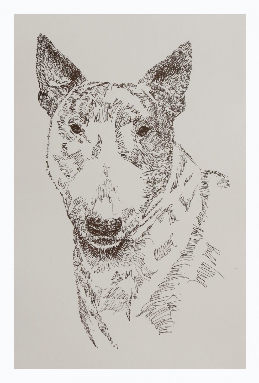 Bull Terrier Line Art | ubicaciondepersonas.cdmx.gob.mx