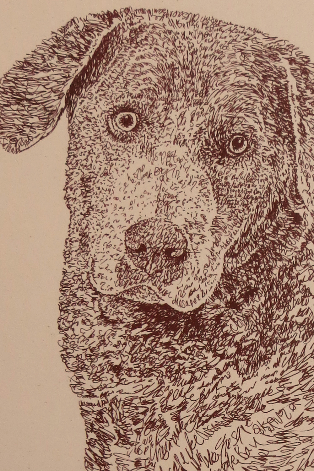 Chesapeake Bay Retriever: Dog Portrait by Stephen Kline : DrawDOGS by ...
