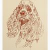 Cocker Spaniel: Dog Portrait by Stephen Kline