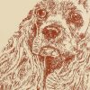 Cocker Spaniel: Dog Portrait by Stephen Kline - Image 2