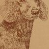 Dachshund: Dog Portrait by Stephen Kline - Image 2