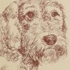 Dachshund - Wirehaired: Dog Portrait by Stephen Kline - Image 2