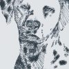 Dalmatian: Dog Portrait by Stephen Kline - Image 2