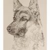 German Shepherd: Dog Portrait by Stephen Kline