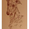 Greyhound One: Dog Portrait by Stephen Kline (Fawn)