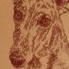 Greyhound One: Dog Portrait by Stephen Kline (Fawn) - Image 2
