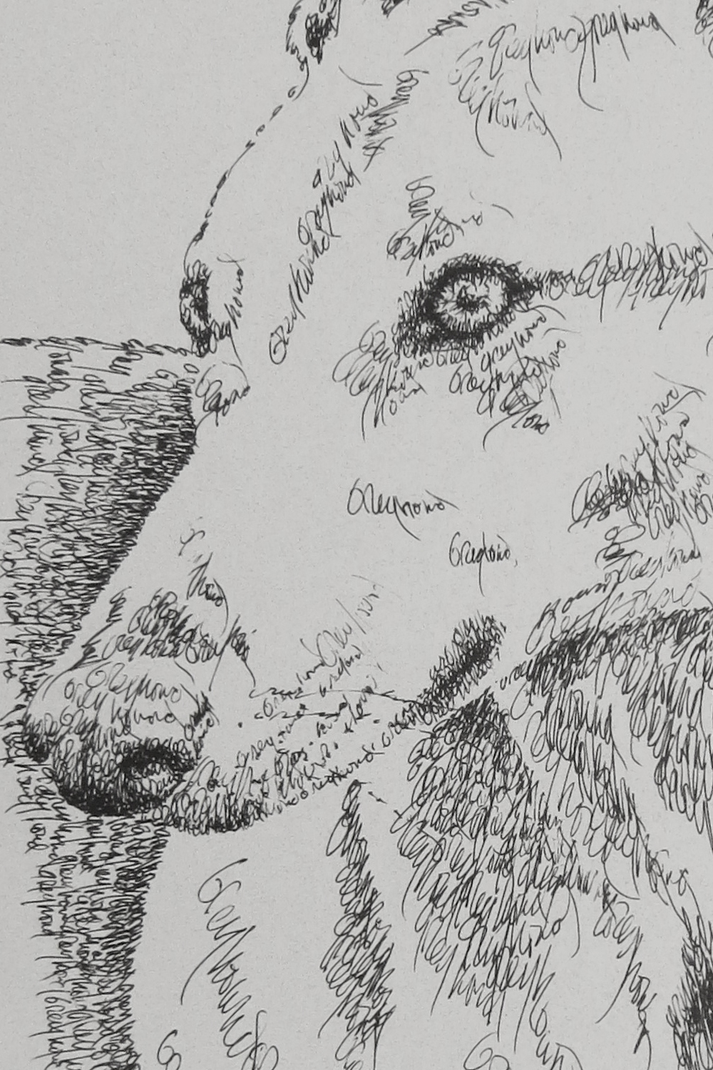 GREYHOUND DOG #336 ART DRAWN FROM WORDS Stephen Kline adds dogs name free GIFT 