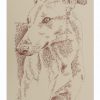 Greyhound Two: Dog Portrait by Stephen Kline (Fawn)