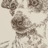 Italian Greyhound: Dog Portrait by Stephen Kline - Image 2