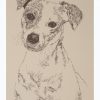 Jack Russell Terrier Smooth: Dog Portrait by Stephen Kline