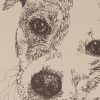 Jack Russell Terrier Smooth: Dog Portrait by Stephen Kline - Image 2
