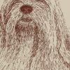 Lhasa Apso: Dog Portrait by Stephen Kline - Image 2