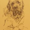 English Mastiff: Dog Portrait by Stephen Kline