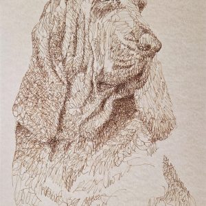 Bloodhound: Dog Portrait by Stephen Kline
