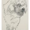 Old English Sheepdog: Dog Portrait by Stephen Kline