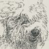 Old English Sheepdog: Dog Portrait by Stephen Kline - Image 2