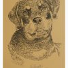 Rottweiler: Dog Portrait by Stephen Kline