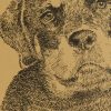 Rottweiler: Dog Portrait by Stephen Kline - Image 2