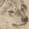 Shiba Inu: Dog Portrait by Stephen Kline - Image 2