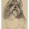 Shih Tzu: Dog Portrait by Stephen Kline