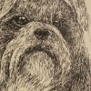 Shih Tzu: Dog Portrait by Stephen Kline - Image 2