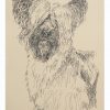 Skye Terrier: Dog Portrait by Stephen Kline