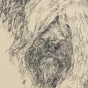 Skye Terrier: Dog Portrait by Stephen Kline - Image 2
