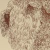 Soft Coated Wheaten Terrier: Dog Portrait by Stephen Kline - Image 2