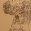 Vizsla: Dog Portrait by Stephen Kline - Image 2